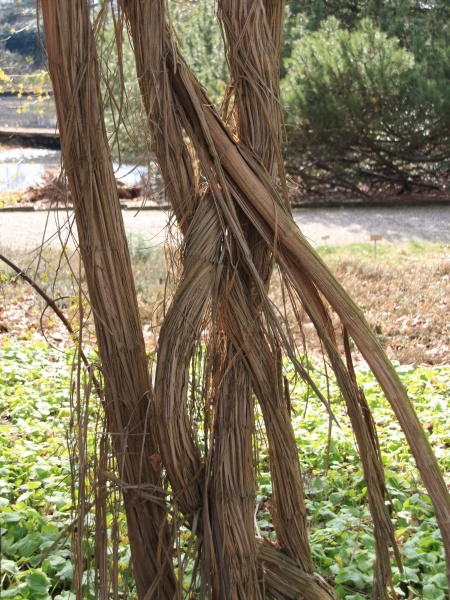 Fruehling 2009   056.jpg